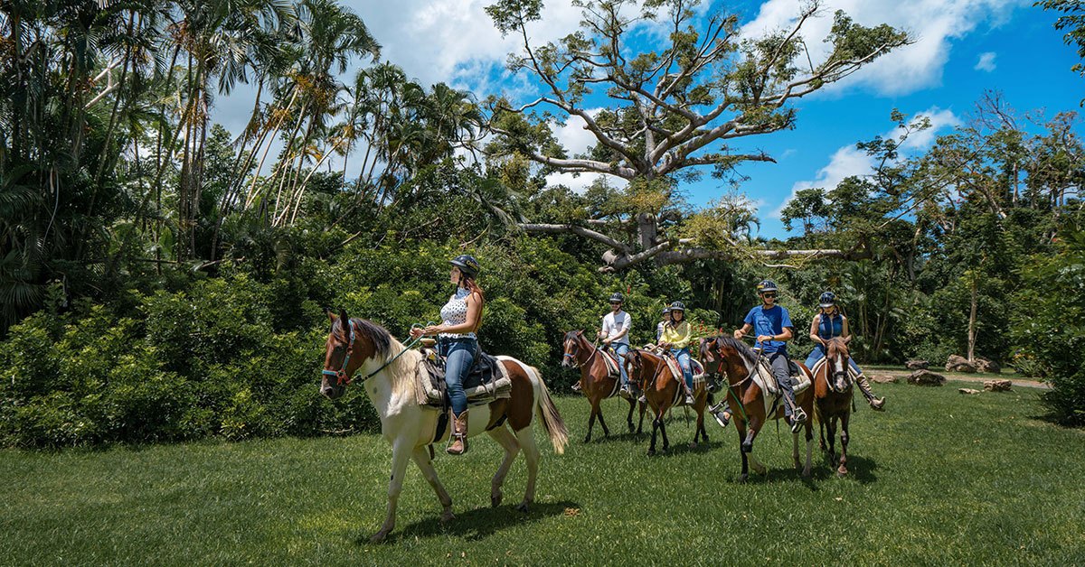 Horseback Riding Tours