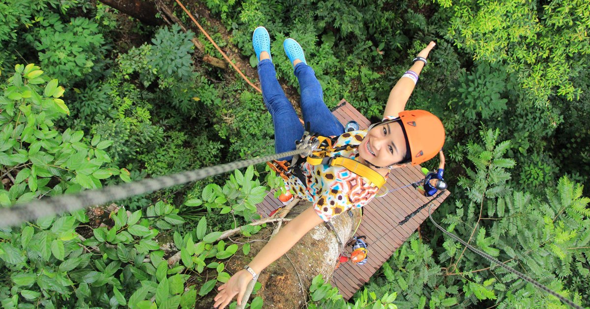 Zipline Tours